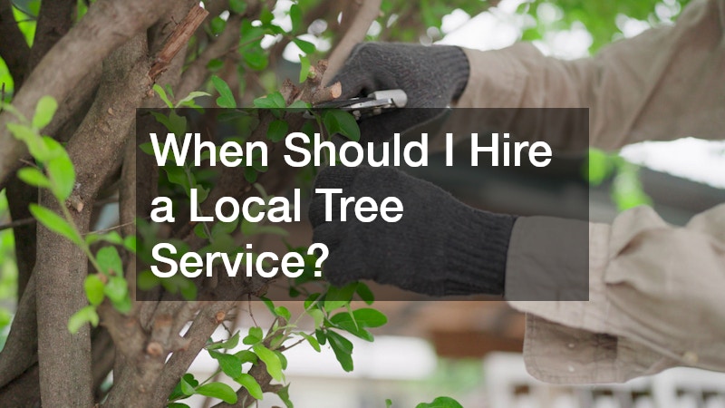 When Should I Hire a Local Tree Service?