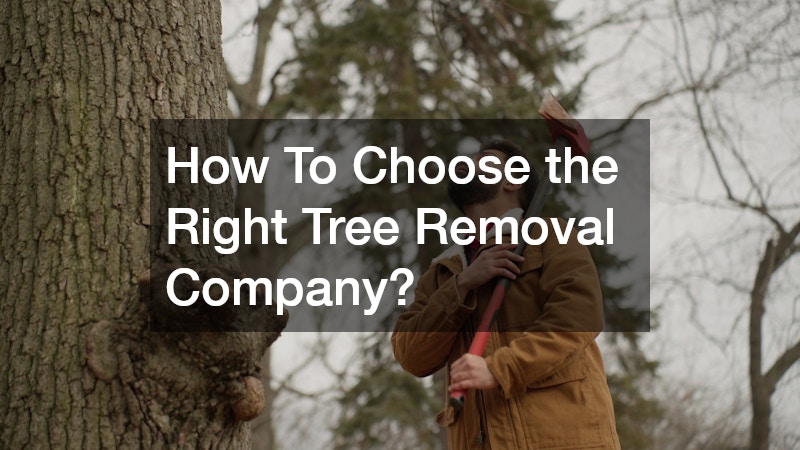 How To Choose the Right Tree Removal Company?