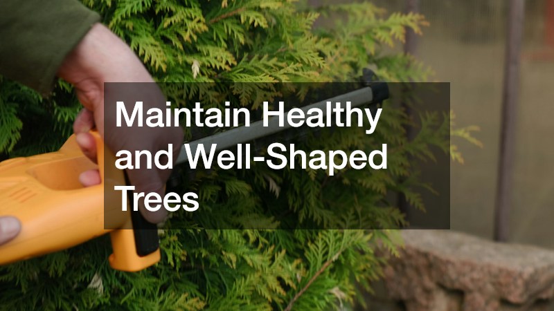 Maintain Healthy and Well-Shaped Trees