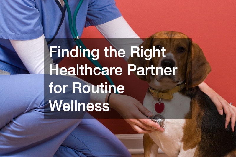 Finding the Right Healthcare Partner for Routine Wellness