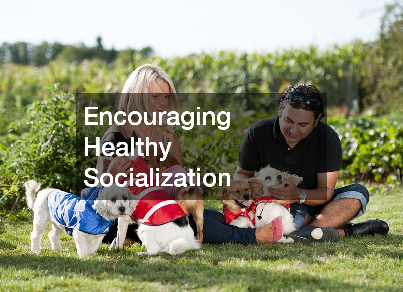 Encouraging Healthy Socialization