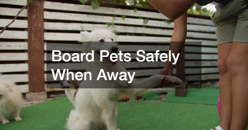 Board Pets Safely When Away
