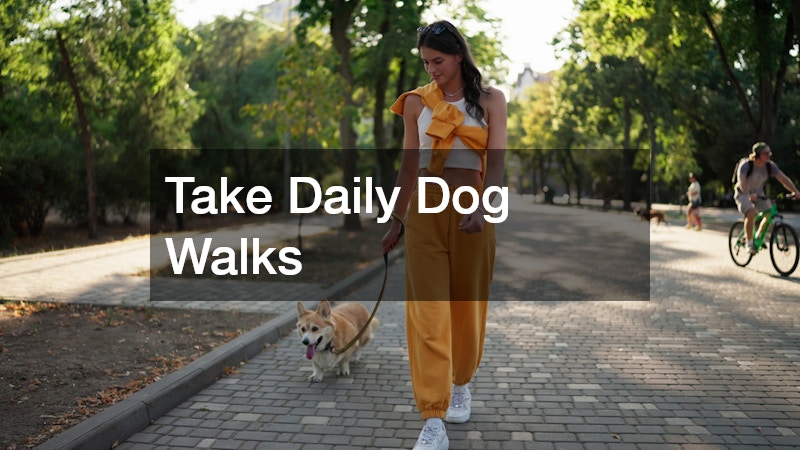Take Daily Dog Walks
