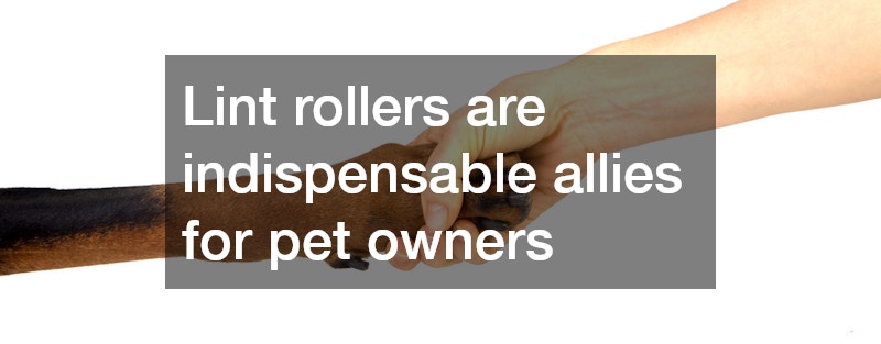 Lint rollers are indispensable allies for pet owners