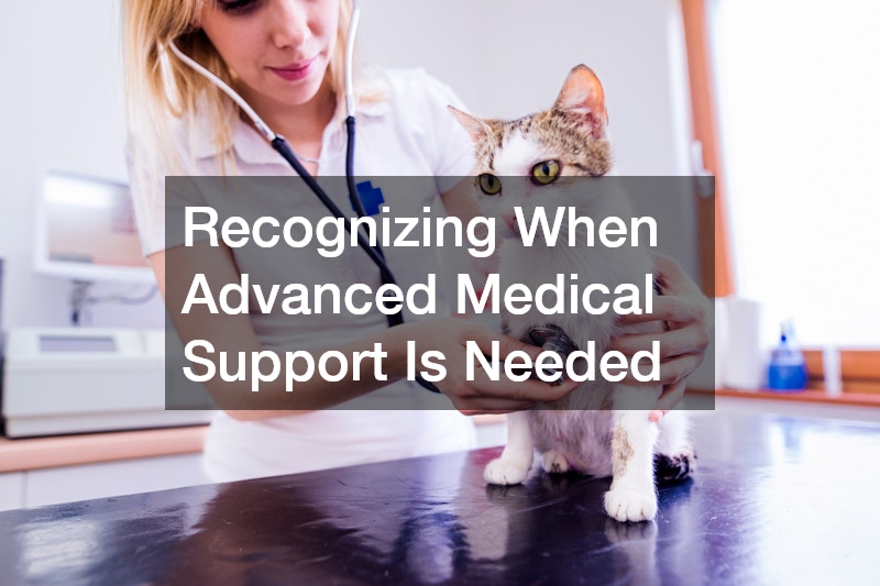 Recognizing When Advanced Medical Support Is Needed