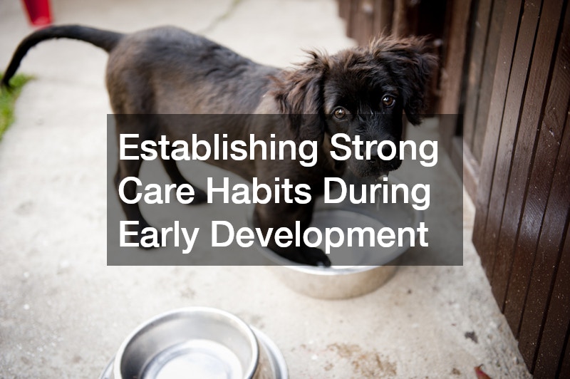 Establishing Strong Care Habits During Early Development