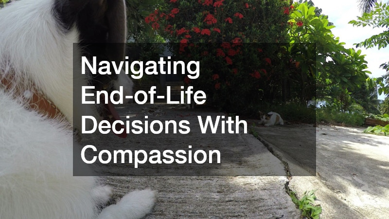 Navigating End-of-Life Decisions With Compassion