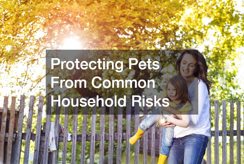 Protecting Pets From Common Household Risks