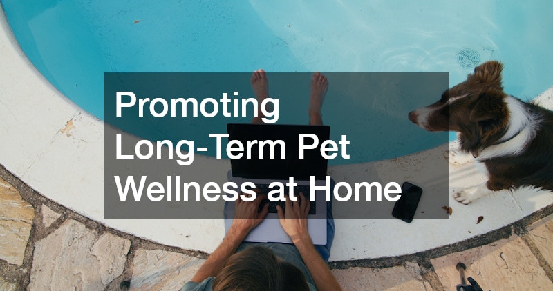 Promoting Long-Term Pet Wellness at Home