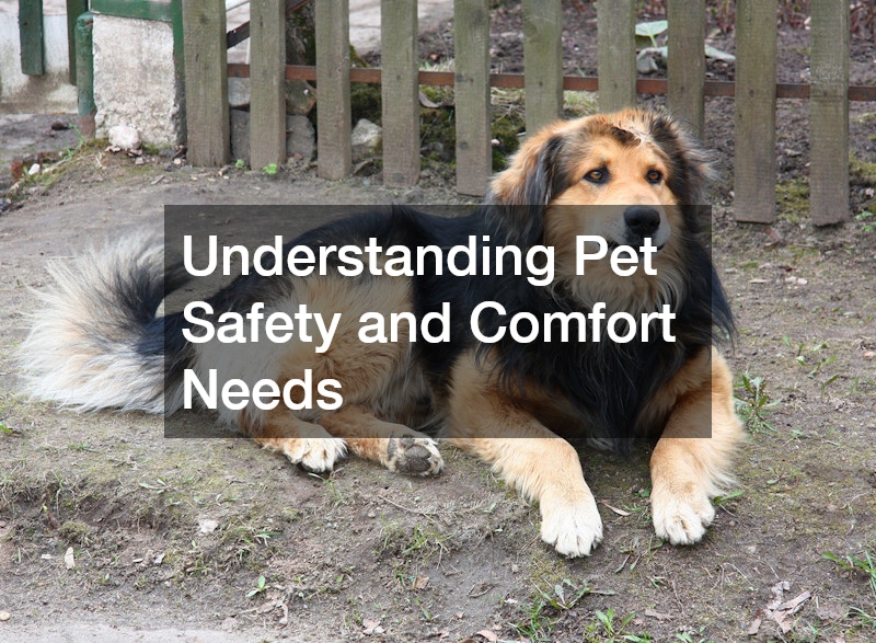 Understanding Pet Safety and Comfort Needs