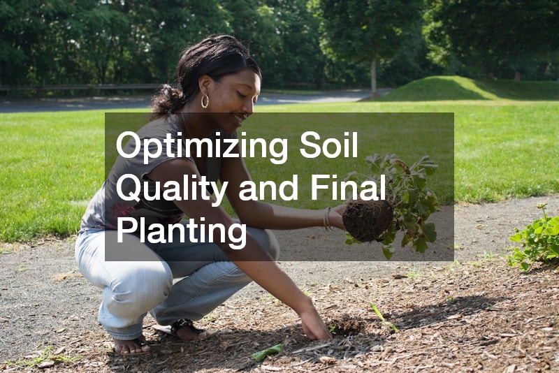 Optimizing Soil Quality and Final Planting