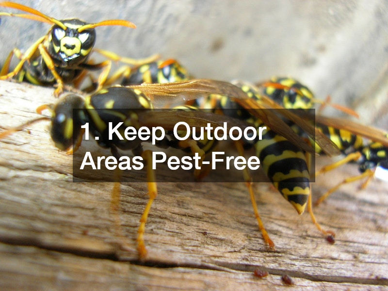1. Keep Outdoor Areas Pest-Free