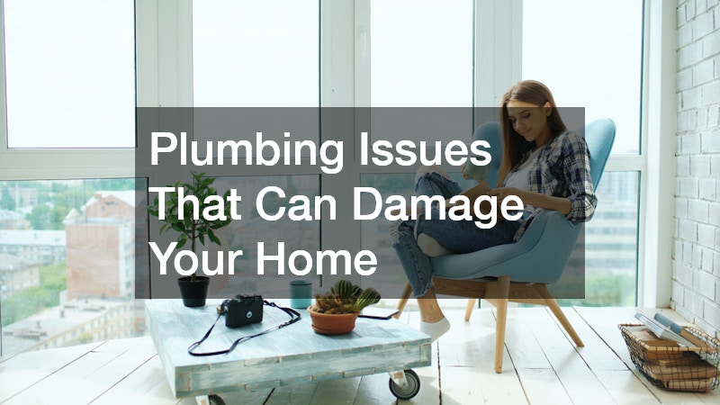 Plumbing Issues That Can Damage Your Home
