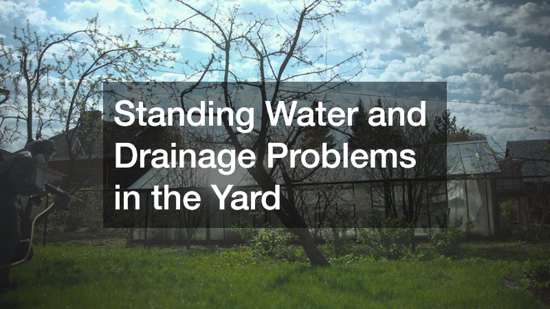 Standing Water and Drainage Problems in the Yard