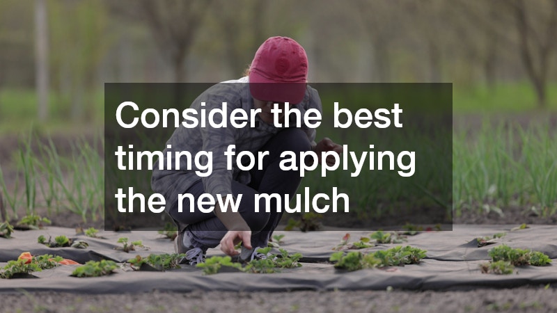 Consider the best timing for applying the new mulch