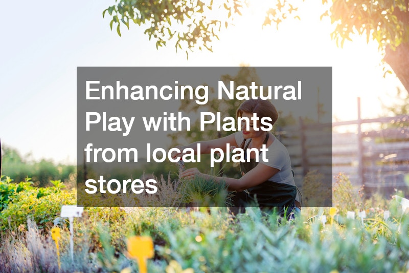 Enhancing Natural Play with Plants from local plant stores