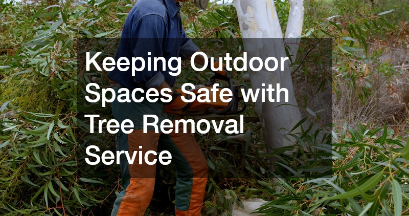 Keeping Outdoor Spaces Safe with Tree Removal Service