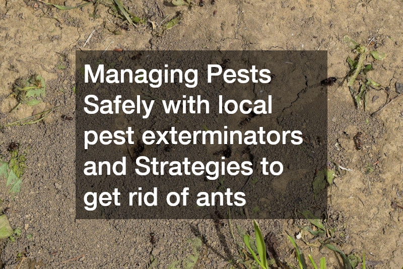 Managing Pests Safely with local pest exterminators and Strategies to get rid of ants
