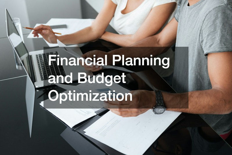 Financial Planning and Budget Optimization