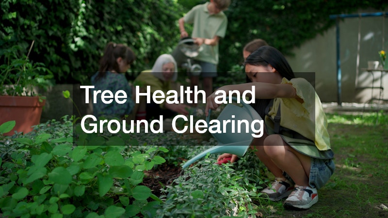 Tree Health and Ground Clearing