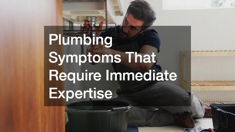 Plumbing Symptoms That Require Immediate Expertise