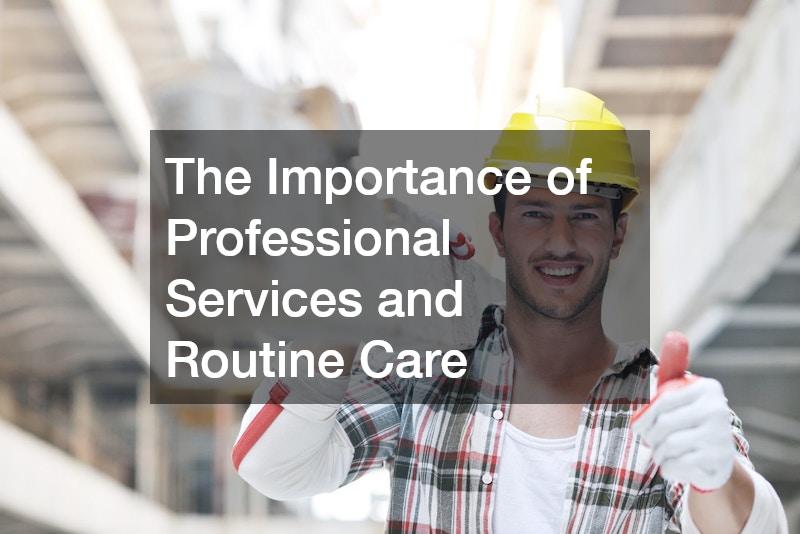 The Importance of Professional Services and Routine Care