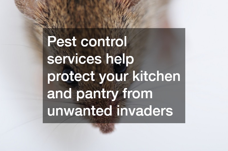 Pest control services help protect your kitchen and pantry from unwanted invaders