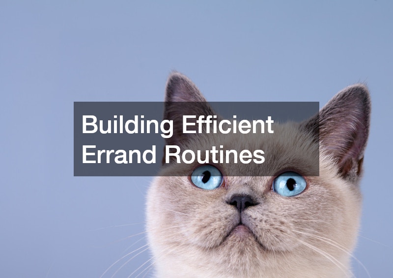 Building Efficient Errand Routines