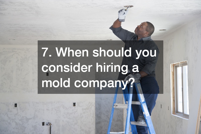 7. When should you consider hiring a mold company?