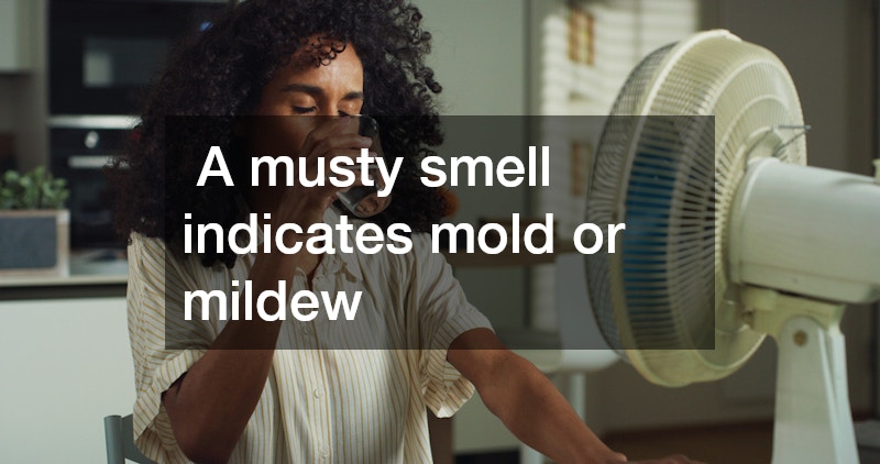 A musty smell indicates mold or mildew