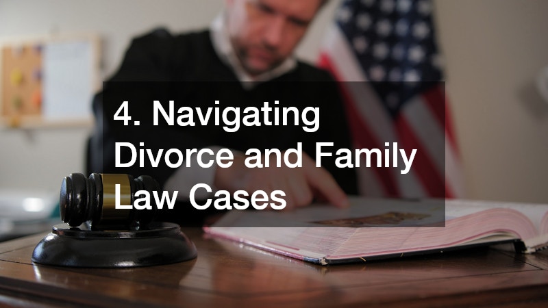 4. Navigating Divorce and Family Law Cases
