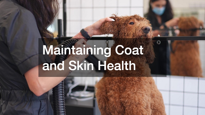 Maintaining Coat and Skin Health