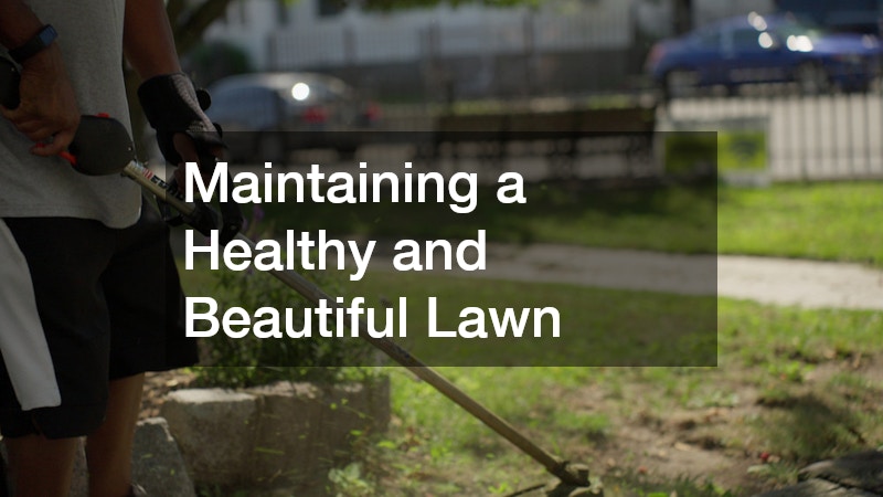 Maintaining a Healthy and Beautiful Lawn