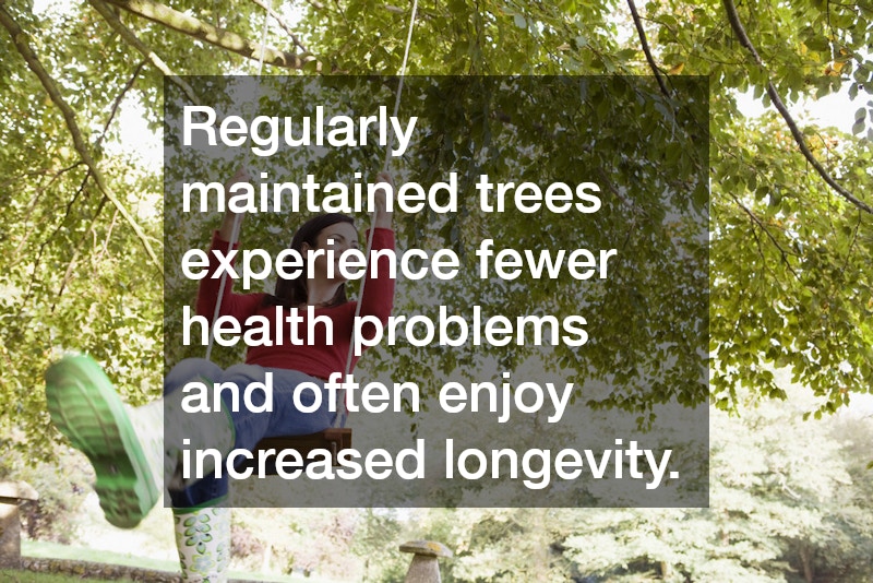 Regularly maintained trees experience fewer health problems and often enjoy increased longevity.