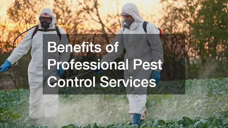 Benefits of Professional Pest Control Services