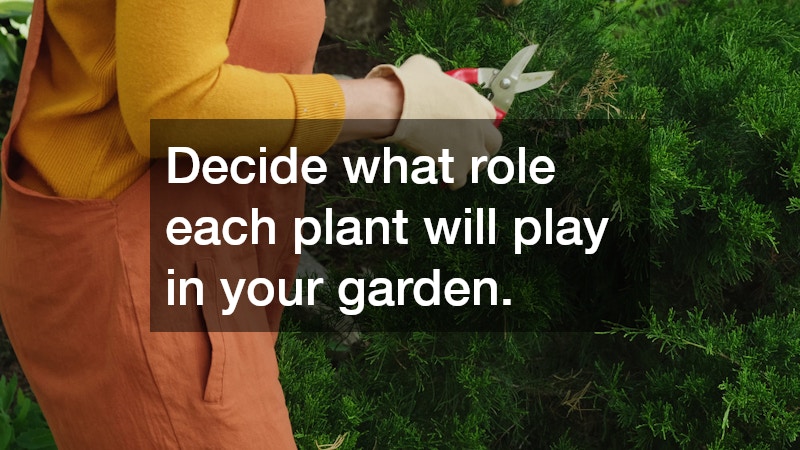 Decide what role each plant will play in your garden.
