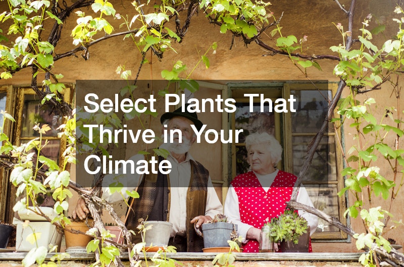 Select Plants That Thrive in Your Climate