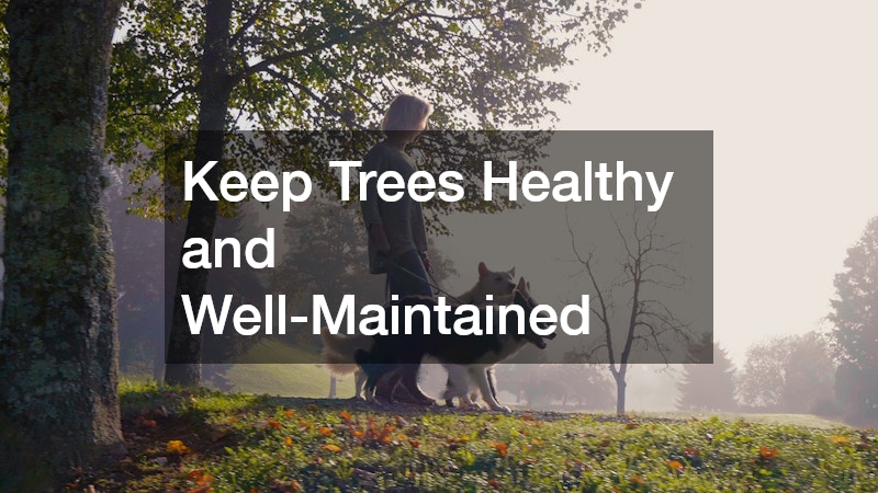 Keep Trees Healthy and Well-Maintained