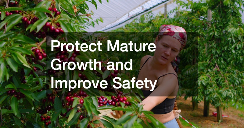 Protect Mature Growth and Improve Safety