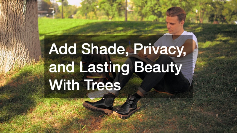 Add Shade, Privacy, and Lasting Beauty With Trees