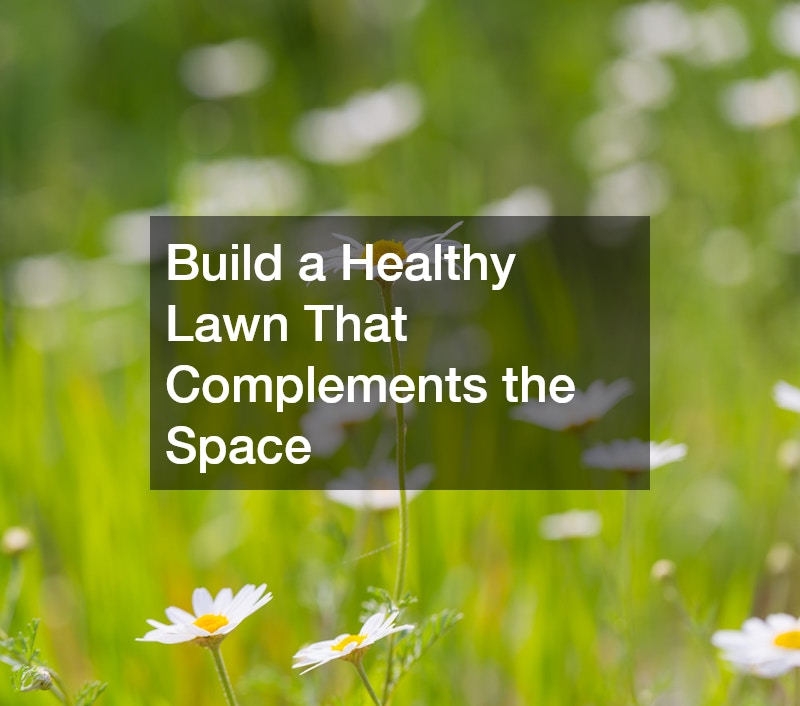 Build a Healthy Lawn That Complements the Space