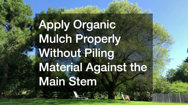 Apply Organic Mulch Properly Without Piling Material Against the Main Stem