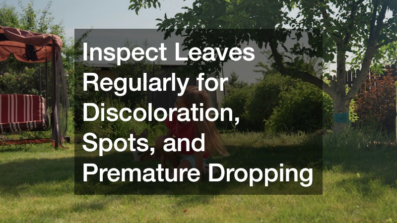 Inspect Leaves Regularly for Discoloration, Spots, and Premature Dropping