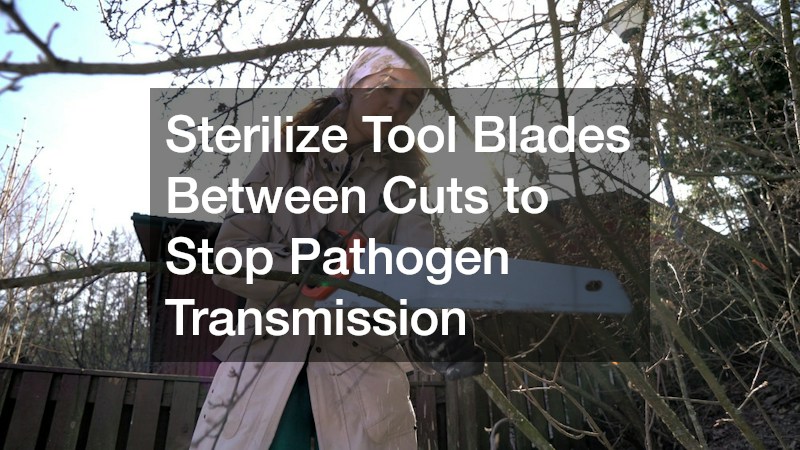 Sterilize Tool Blades Between Cuts to Stop Pathogen Transmission