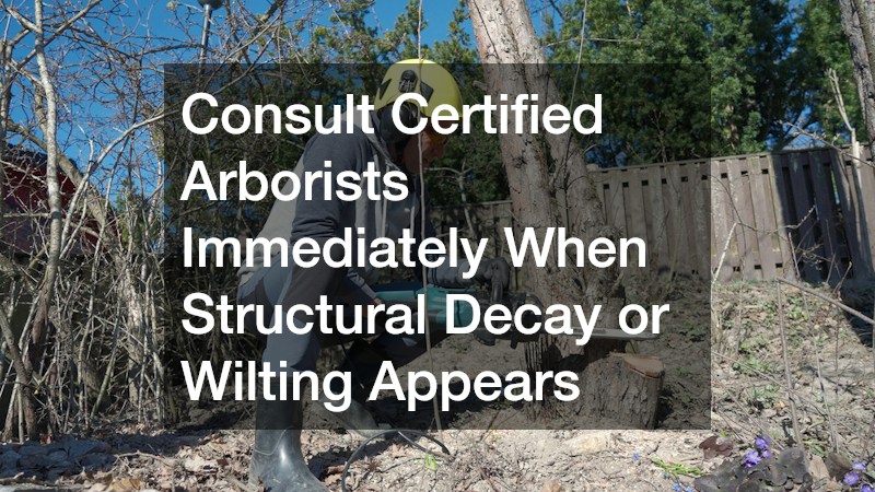 Consult Certified Arborists Immediately When Structural Decay or Wilting Appears