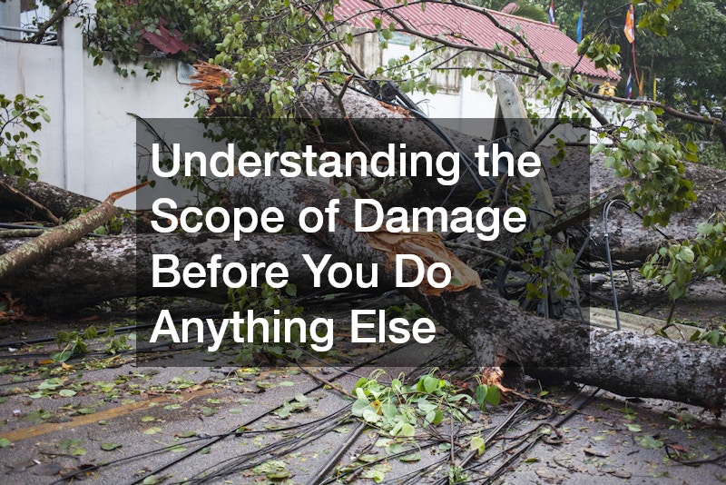 Understanding the Scope of Damage Before You Do Anything Else