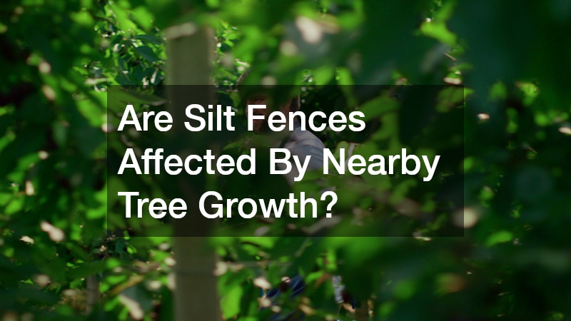 Are Silt Fences Affected By Nearby Tree Growth?