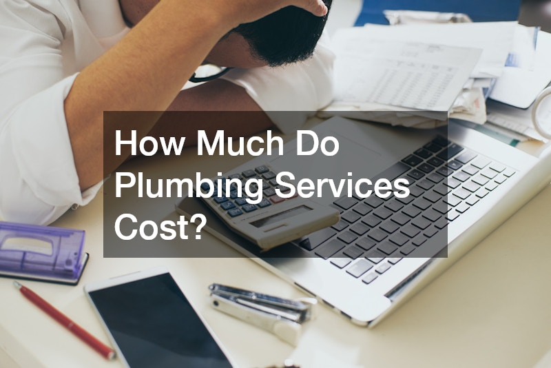How Much Do Plumbing Services Cost?