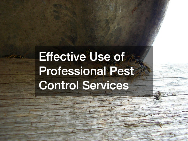 Effective Use of Professional Pest Control Services