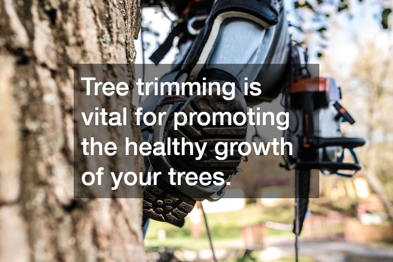 Tree trimming is vital for promoting the healthy growth of your trees.